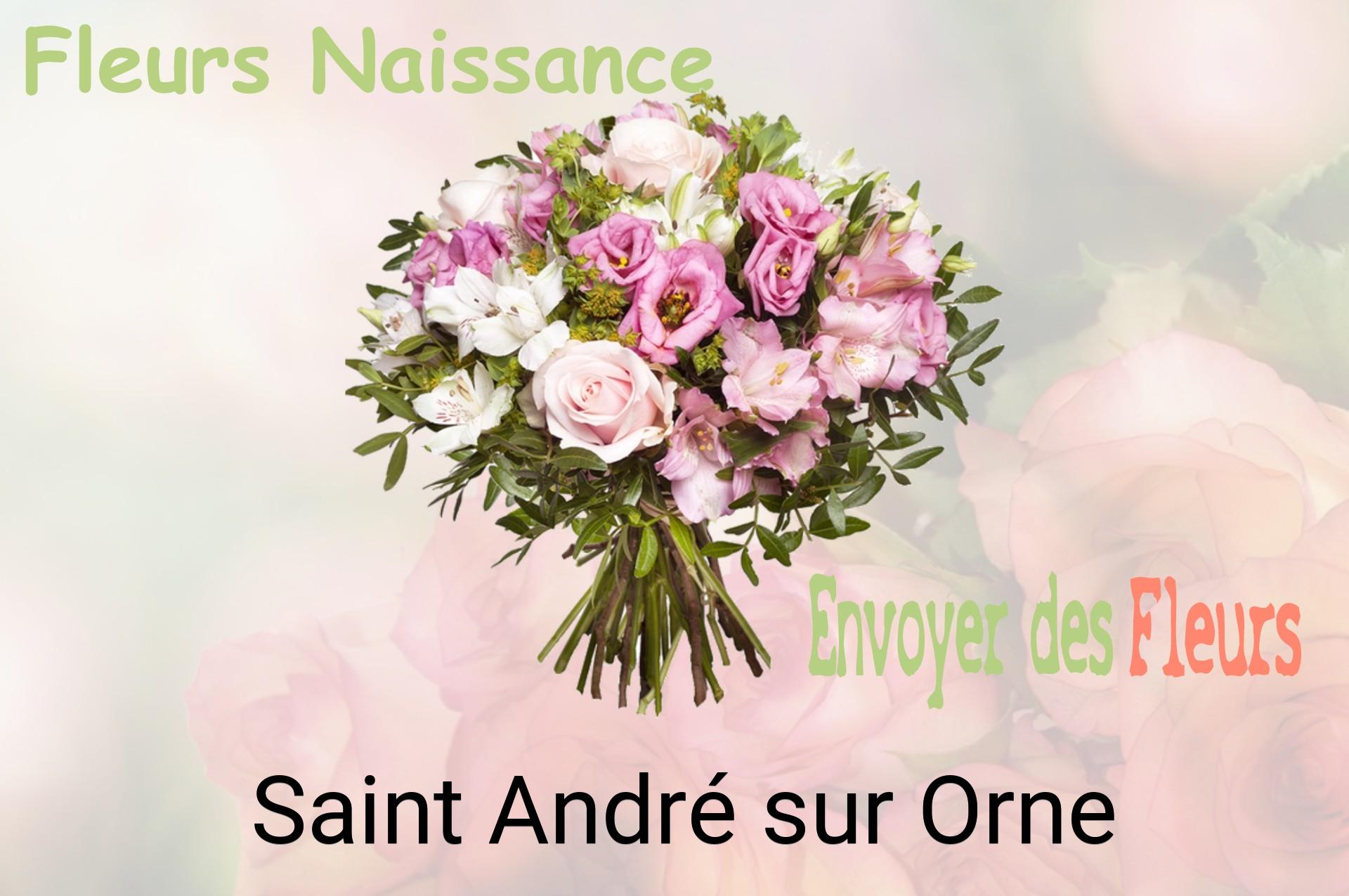 Bouquet de fleurs de naissance livré à Saint-André-sur-Orne